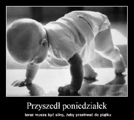 Dziecko w poniedziałek